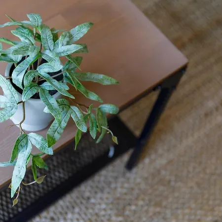 Con Encanto En El Casco Antiguo By * Vigo