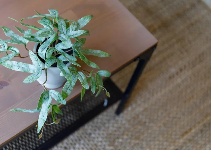 Con Encanto En El Casco Antiguo By * Vigo